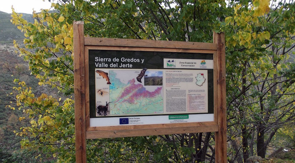 im galeria vaccio